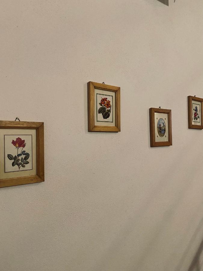 Appartamento Don Tano Catane Extérieur photo